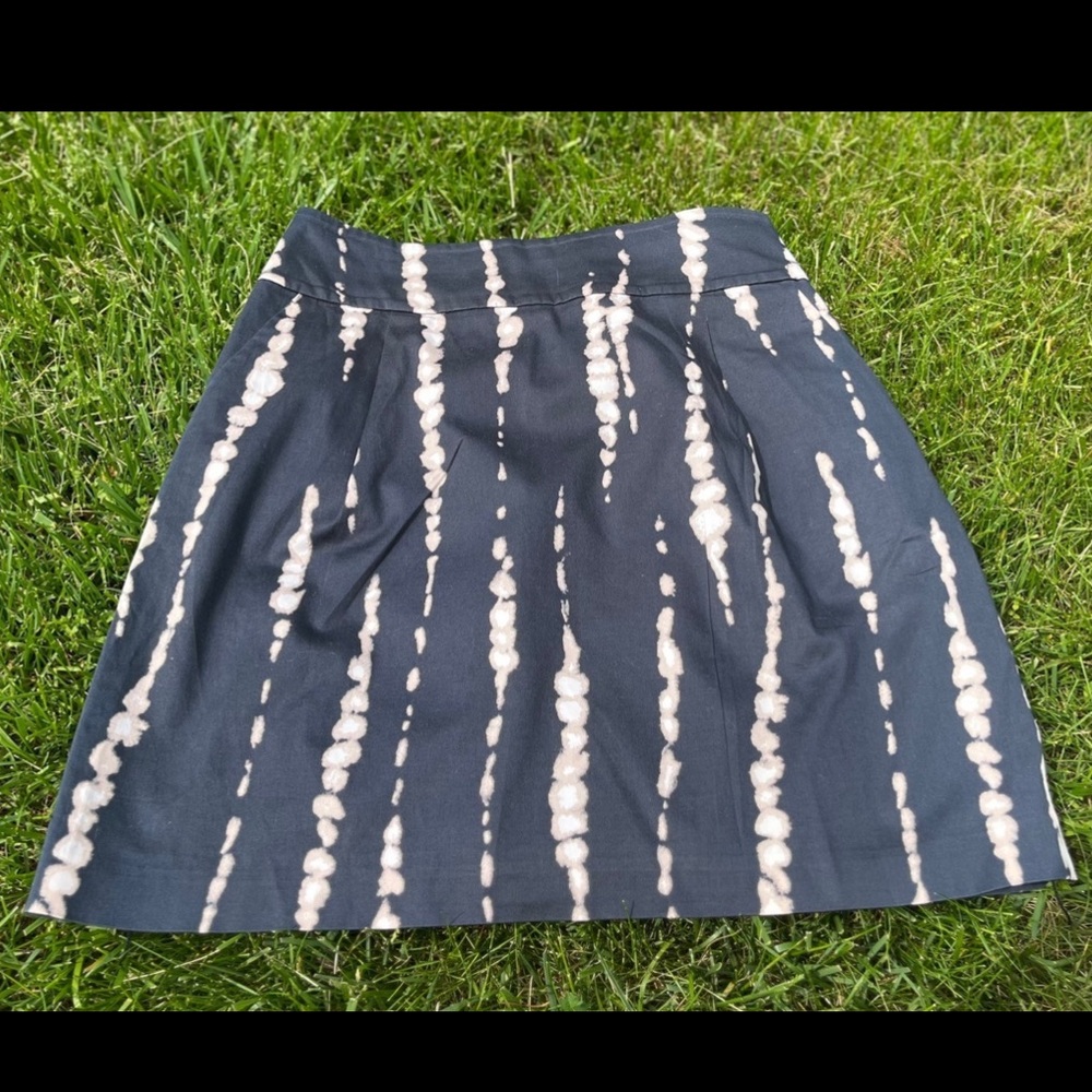 Ann Taylor Skirt